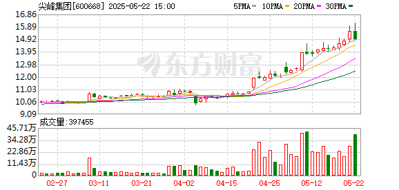 宏发证券 尖峰集团：2024年年度股东大会决议公告