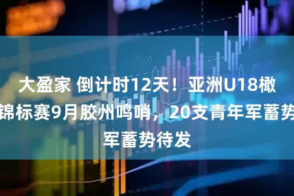 大盈家 倒计时12天！亚洲U18橄榄球锦标赛9月胶州鸣哨，20支青年军蓄势待发